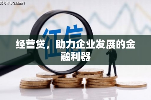 雷州经营贷，助力企业发展的金融利器
