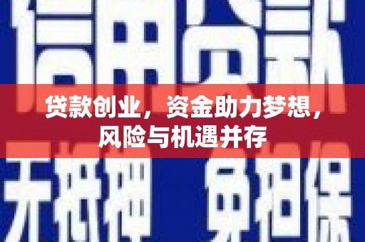 雷州贷款创业，资金助力梦想，风险与机遇并存
