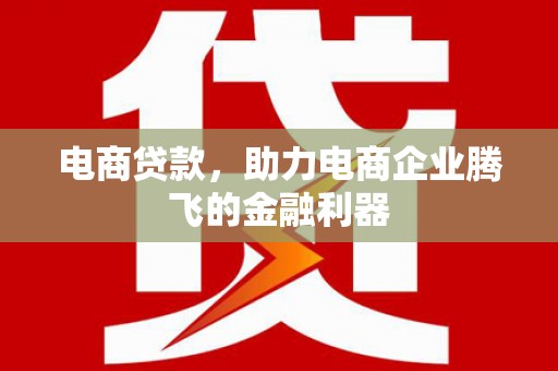 雷州电商贷款，助力电商企业腾飞的金融利器