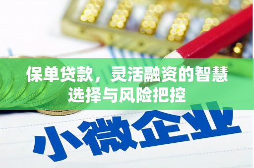 雷州保单贷款，灵活融资的智慧选择与风险把控