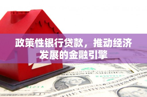 雷州政策性银行贷款，推动经济发展的金融引擎