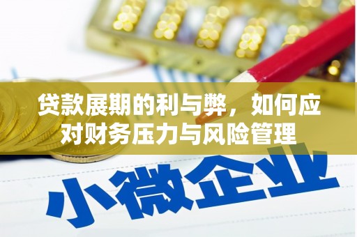 雷州贷款展期的利与弊，如何应对财务压力与风险管理