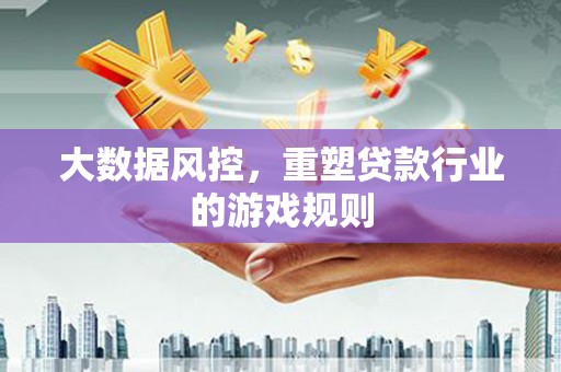 雷州大数据风控，重塑贷款行业的游戏规则