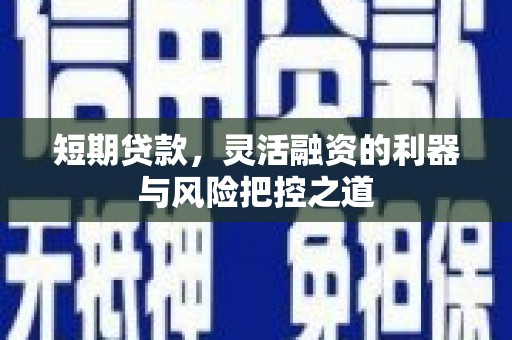 雷州短期贷款，灵活融资的利器与风险把控之道