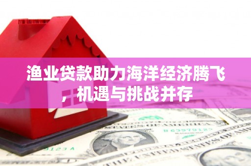 雷州渔业贷款助力海洋经济腾飞，机遇与挑战并存