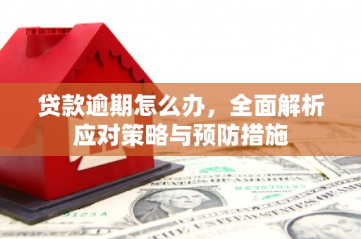 雷州贷款逾期怎么办，全面解析应对策略与预防措施