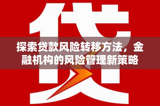 雷州探索贷款风险转移方法，金融机构的风险管理新策略