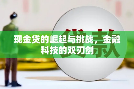 雷州现金贷的崛起与挑战，金融科技的双刃剑