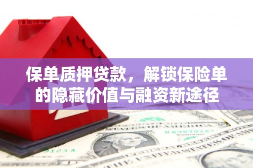 雷州保单质押贷款，解锁保险单的隐藏价值与融资新途径