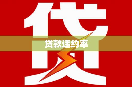 雷州贷款违约率