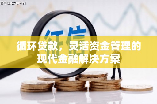 雷州循环贷款，灵活资金管理的现代金融解决方案