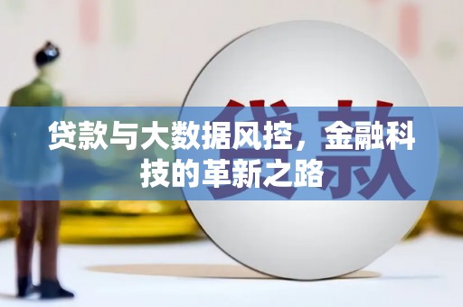 雷州贷款与大数据风控，金融科技的革新之路