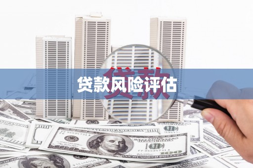 雷州贷款风险评估