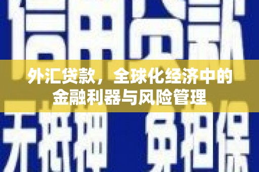雷州外汇贷款，全球化经济中的金融利器与风险管理
