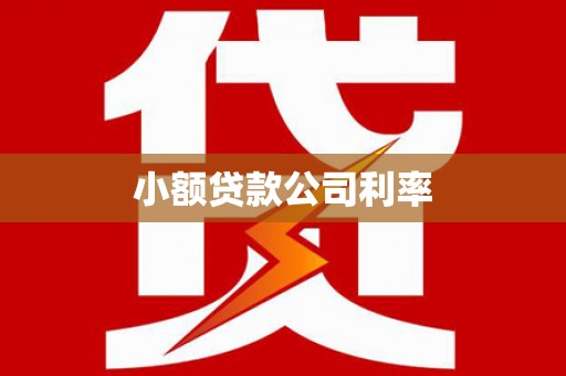 雷州小额贷款公司利率