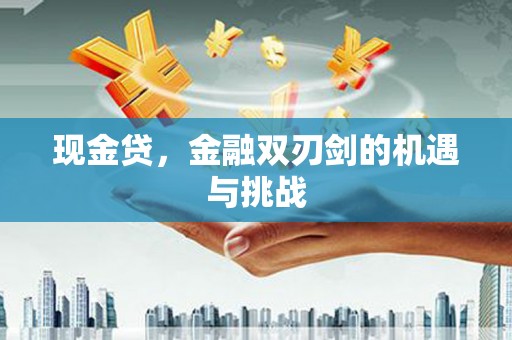 雷州现金贷，金融双刃剑的机遇与挑战
