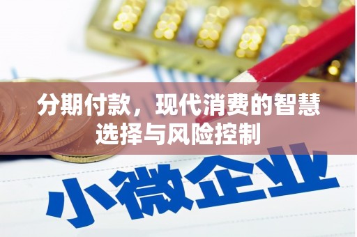 雷州分期付款，现代消费的智慧选择与风险控制