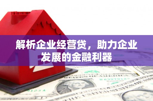 雷州解析企业经营贷，助力企业发展的金融利器