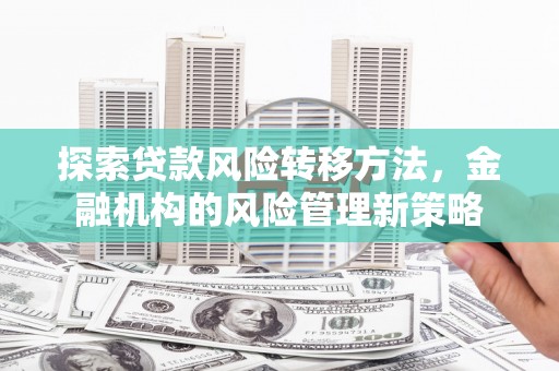 雷州探索贷款风险转移方法，金融机构的风险管理新策略