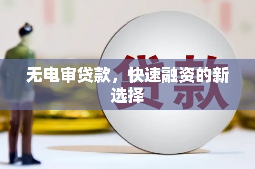 雷州无电审贷款，快速融资的新选择