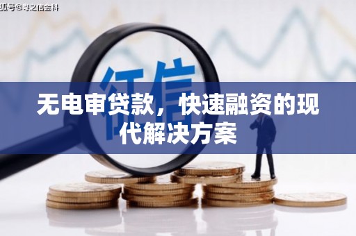 雷州无电审贷款，快速融资的现代解决方案