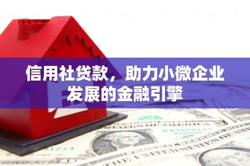 雷州信用社贷款，助力小微企业发展的金融引擎
