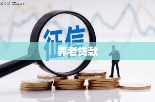 雷州养老贷款