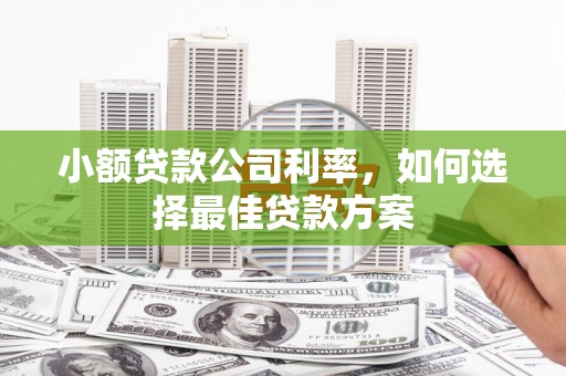 雷州小额贷款公司利率，如何选择最佳贷款方案