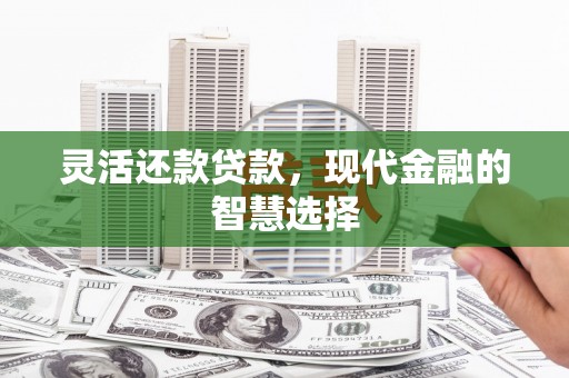 雷州灵活还款贷款，现代金融的智慧选择