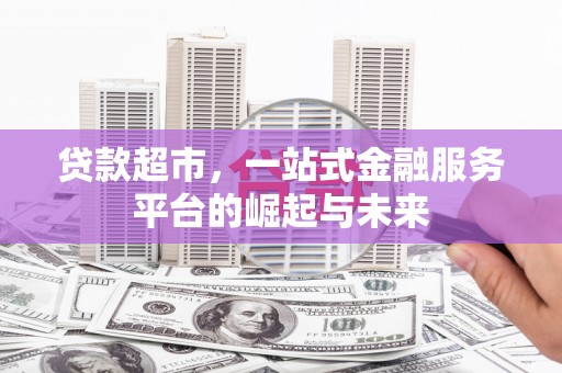 雷州贷款超市，一站式金融服务平台的崛起与未来