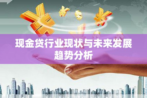 雷州现金贷行业现状与未来发展趋势分析