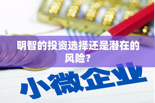 雷州明智的投资选择还是潜在的风险？