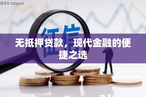 雷州无抵押贷款，现代金融的便捷之选