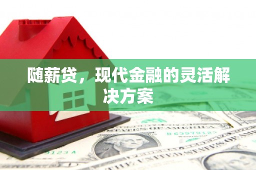 雷州随薪贷，现代金融的灵活解决方案