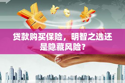 雷州贷款购买保险，明智之选还是隐藏风险？