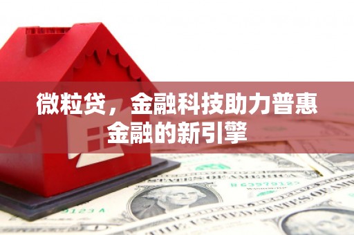 雷州微粒贷，金融科技助力普惠金融的新引擎