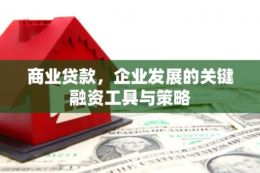 雷州商业贷款，企业发展的关键融资工具与策略