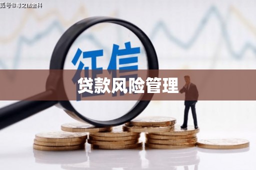 雷州贷款风险管理