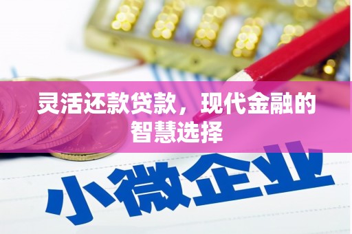 雷州灵活还款贷款，现代金融的智慧选择