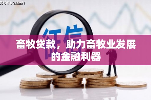雷州畜牧贷款，助力畜牧业发展的金融利器