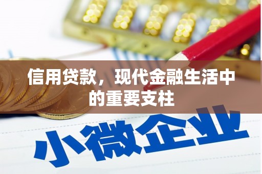 雷州信用贷款，现代金融生活中的重要支柱