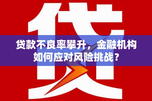 雷州贷款不良率攀升，金融机构如何应对风险挑战？