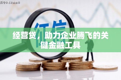 雷州经营贷，助力企业腾飞的关键金融工具
