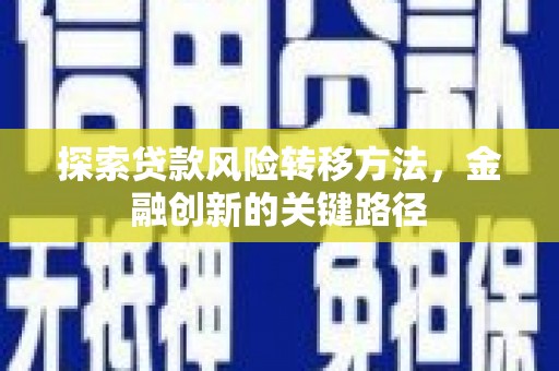 雷州探索贷款风险转移方法，金融创新的关键路径