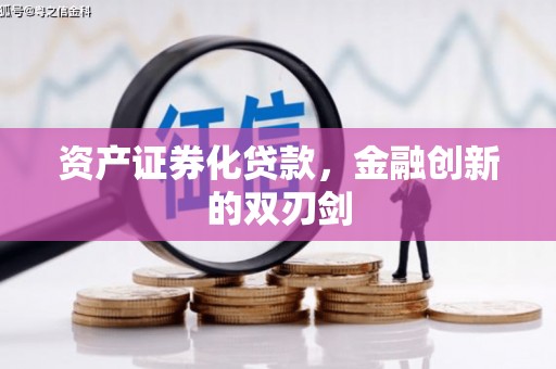 雷州资产证券化贷款，金融创新的双刃剑