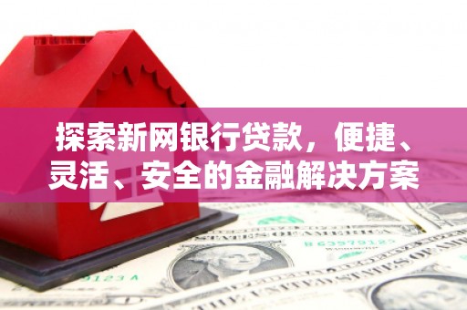 雷州探索新网银行贷款，便捷、灵活、安全的金融解决方案
