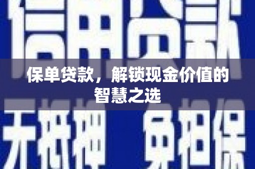 雷州保单贷款，解锁现金价值的智慧之选