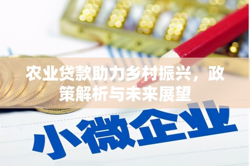 雷州农业贷款助力乡村振兴，政策解析与未来展望