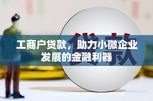 雷州工商户贷款，助力小微企业发展的金融利器