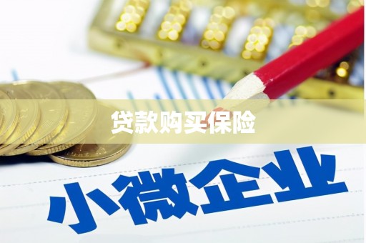 雷州贷款购买保险